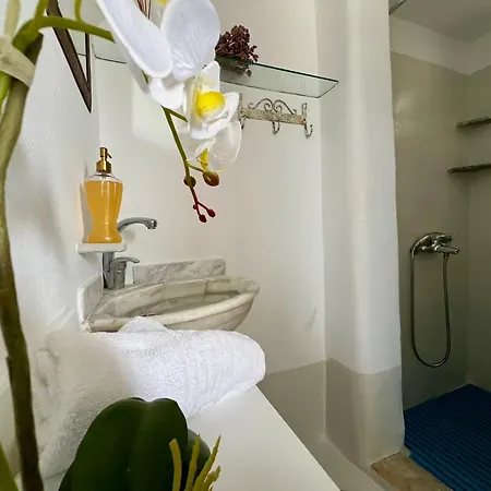 Mykonos Seaview Nests - Getaways 公寓 图罗斯