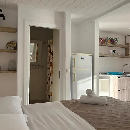 Mykonos Seaview Nests - Getaways 아파트 투를로스